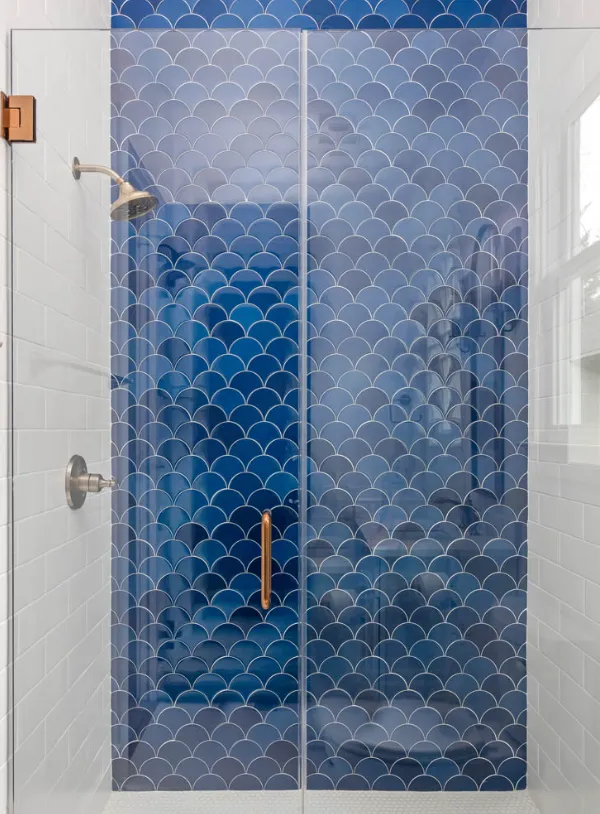 Shower Door