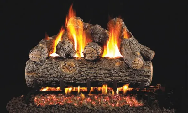 Gas fireplace logs with flames.