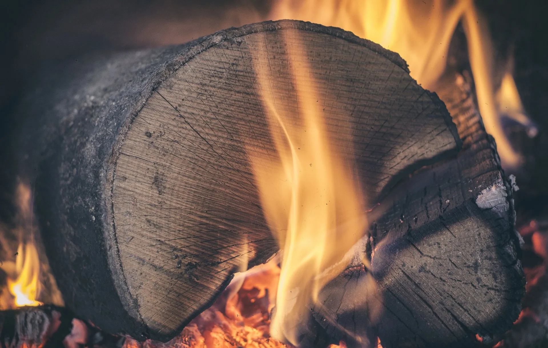 Wood Burning Fireplaces